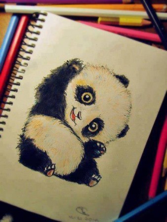 Pandaaaa